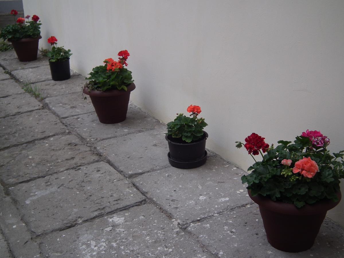 Apartament Bbb48 Cluj-Napoca Eksteriør billede