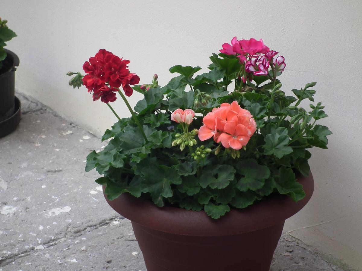 Apartament Bbb48 Cluj-Napoca Eksteriør billede